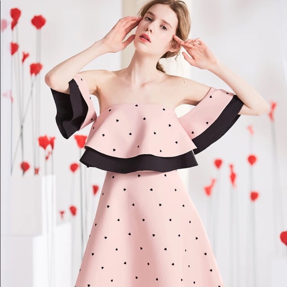 Tammy Tang brand new Pink dress